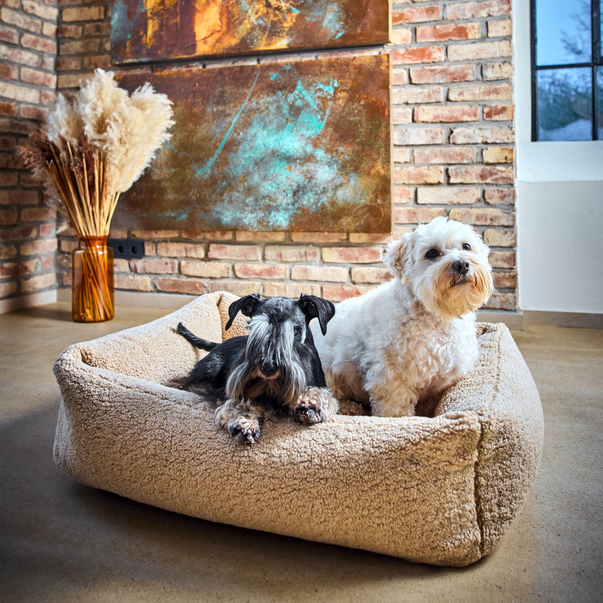 Teddy Ortho | Premium orthopedisch hondenbed