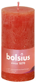 Shine rustiekkaars 100/50 Earthy Orange