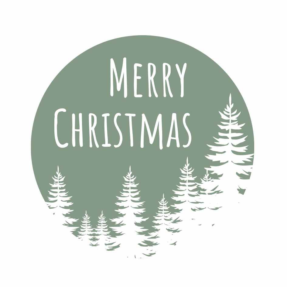 Etiketten – Merry Christmas – Olijf Groen – 250 Stuks