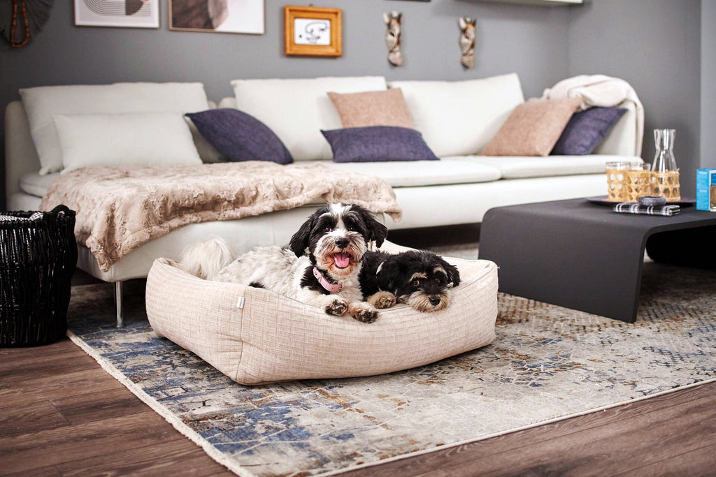 Nova Classic Hondenbed