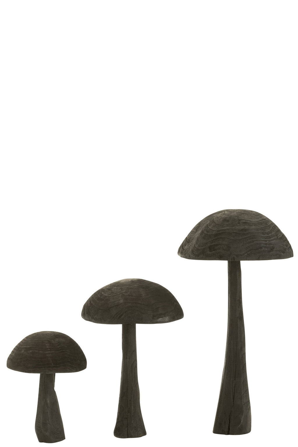 J-Line Paddenstoel Hout Zwart Large
