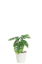 J-Line plant Blad Philo In Pot - kunststof - groen/wit - medium