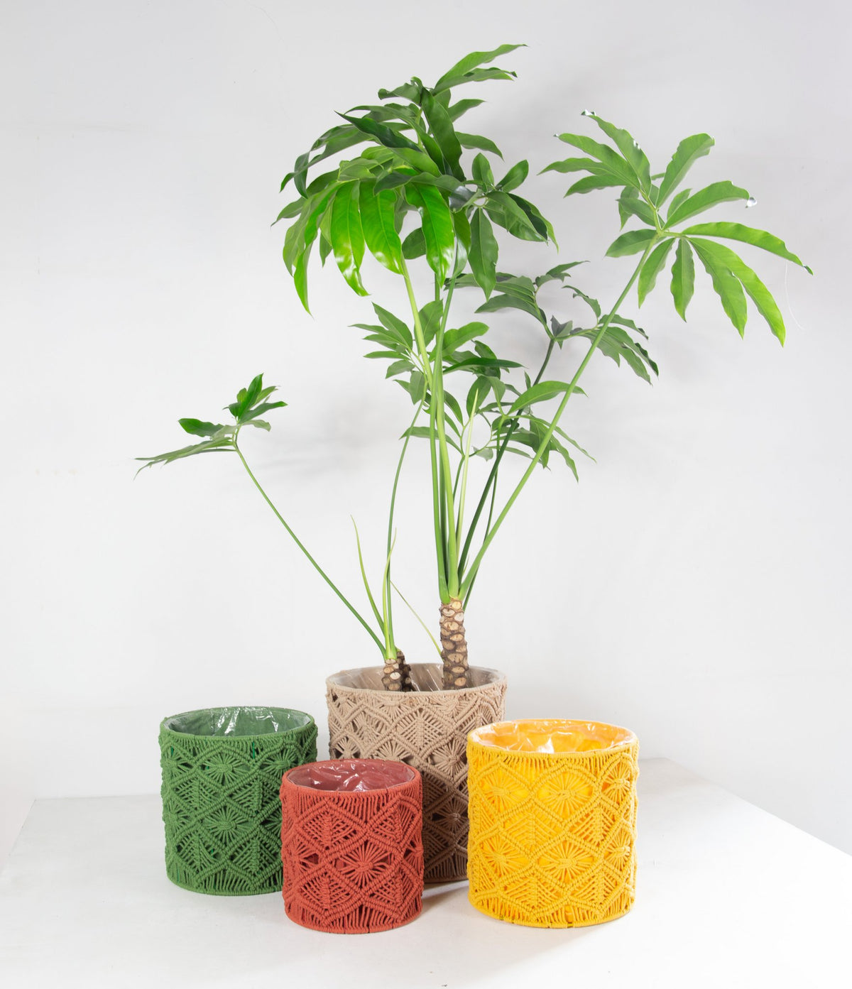 Moontrane mandenset3 groen