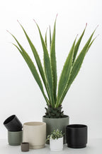 J-Line Agave Gebroken Wit Kunstmatig Groen