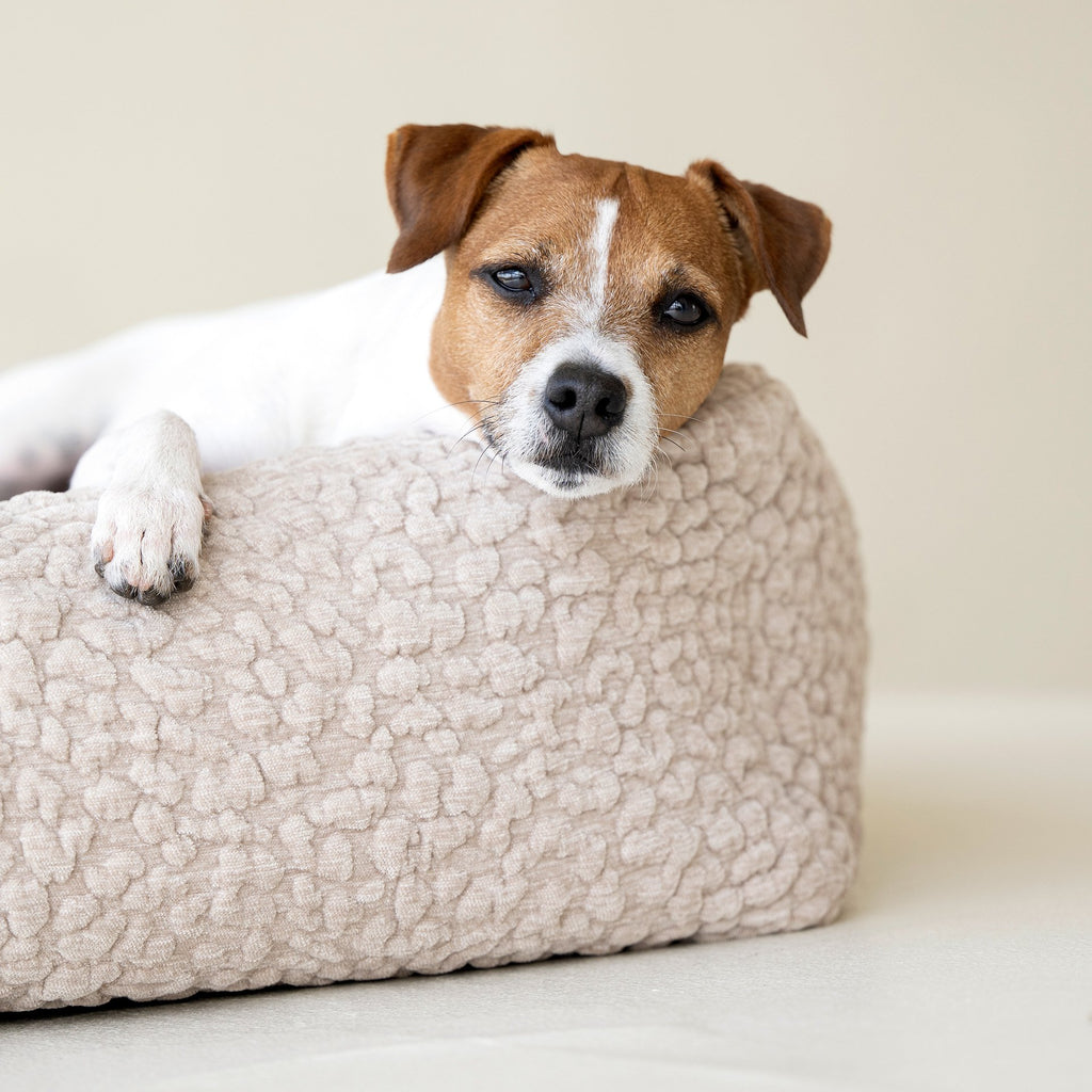 Bellagio Ortho | Premium orthopedisch hondenbed