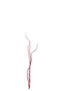 J-Line decoratie tak - riet - rood - medium - set van 3