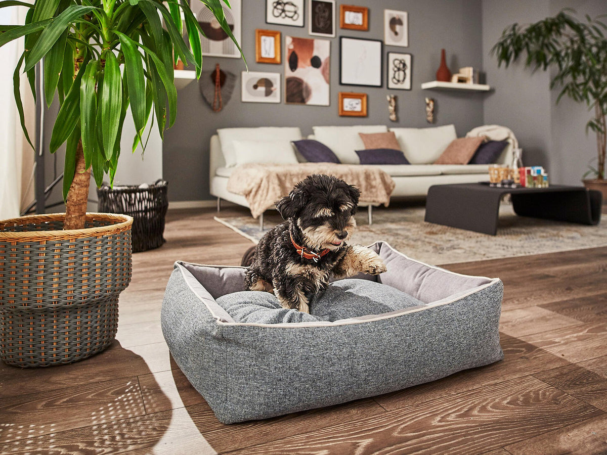 Scala Klassieke Hundebett