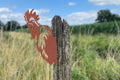 Kiekeboe Haan/ Rooster Herman, 141634, Roest, 31,7x16,3x0,2cm
