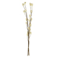 Droge bloem senneterre groen 20x7x100 cm