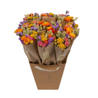Starter -pakket - Floriette bestsellers