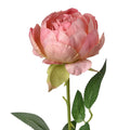 Kunstbloem Roos 62 cm Roze Kunststof