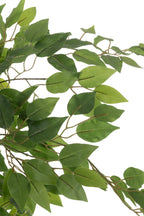 J-Line ficus in Pot - kunststof - lichtgroen