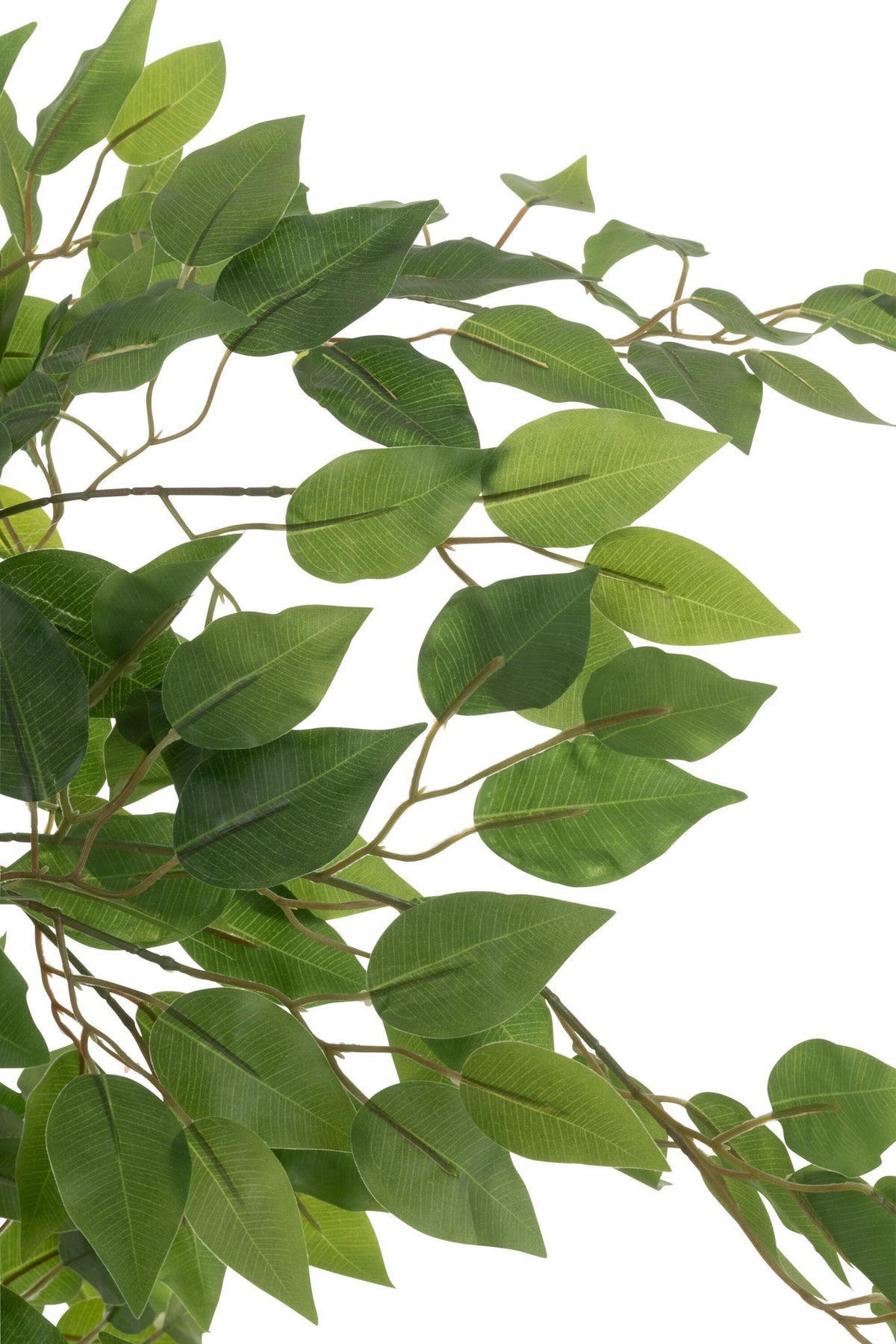 J-Line ficus in Pot - kunststof - lichtgroen