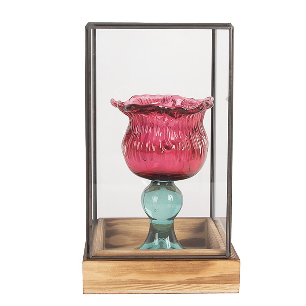Decoratie Kweekkastje 14x14x24 cm Transparant Glas