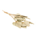 Gedroogde Bloemen - Palmspear Naturel