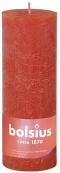 Shine rustiekkaars 190/68 Earthy Orange