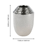 Vaas Aramberri Zilver 17x25 cm