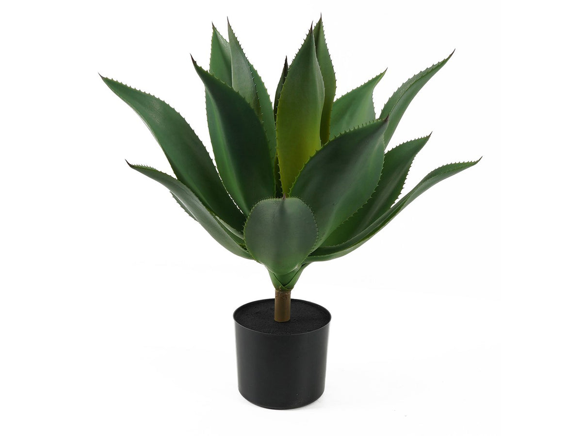 Kunstmatige plant succulent