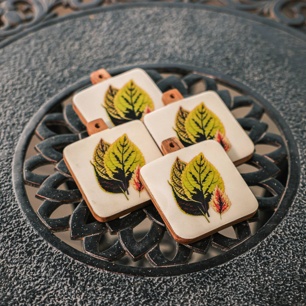 Timber Leaf Coaster Set – Onderzetters – Acaciahout en emaille – ingewikkeld ontwerp (set van 4)