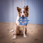 Skipper - cultspeelgoed voor honden