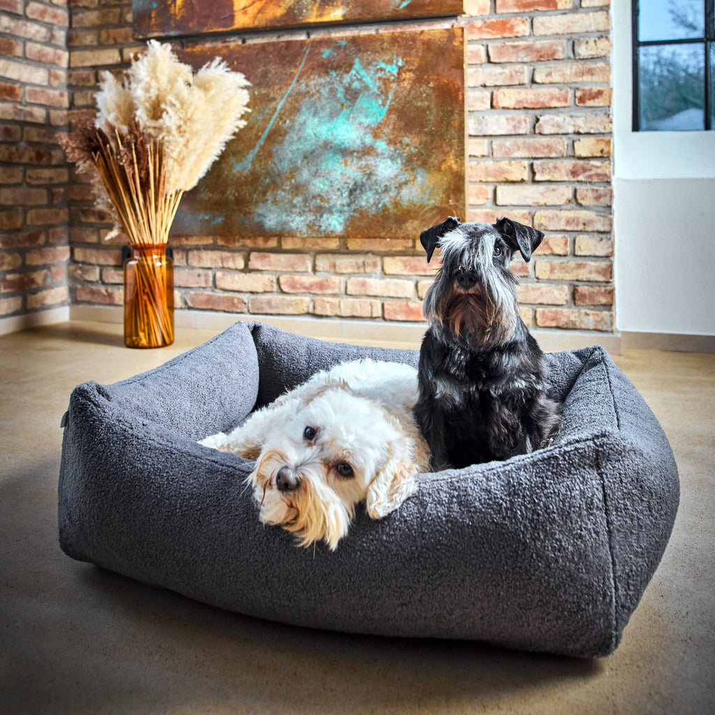 Teddy I Klassiek Hundebett