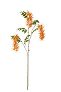 J-Line bloem Tweedia - textiel - oranje