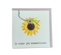 V21 stuur zonnestralen