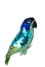 J-Line Papegaai met clip - polyfoam - blauw/groen
