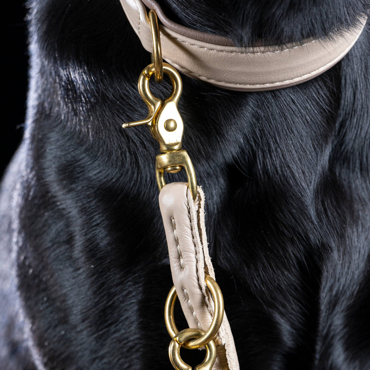 Amici Ivory – Rondgestikte leren riem