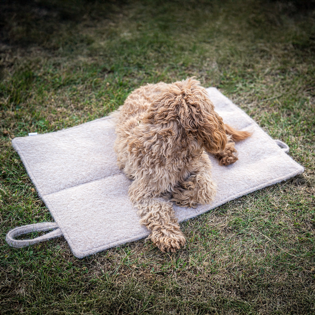 Opvouwbare reisdeken voor honden – Feltro