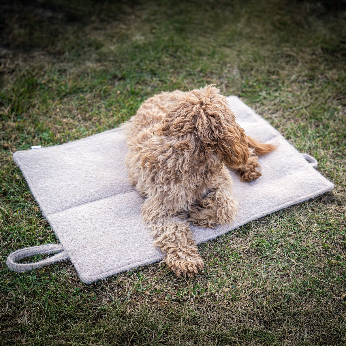 Opvouwbare reisdeken voor honden – Feltro