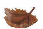J-Line decoratie Plateau Blad Herfst - polyresin - bruin
