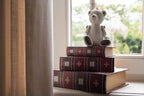 Opbergdoos Set van 3 Boeken 27/22/17 cm Bruin Hout