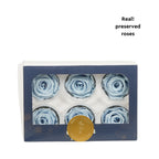Rose Standaard W-Box 6 lavendel