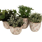 Bloempot Ø 14x14 cm Beige Roze Keramiek Bloemen Bloempot Binnen