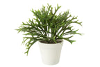 J-Line Platycerium Bifurcatum In Pot Kunstmatig Groen