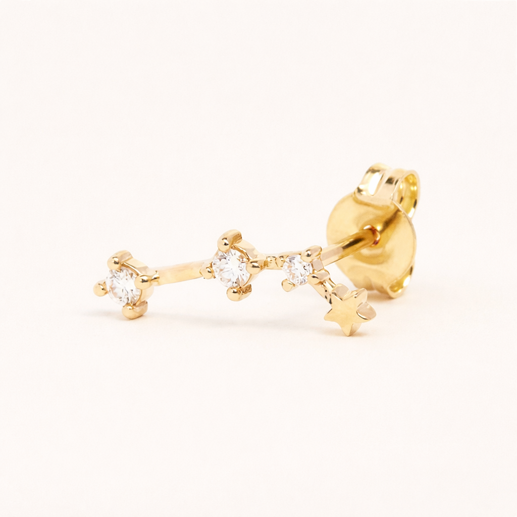 Dierenriem Stud Oorbellen