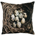 Canvas kussen eieren in nest 50x50cm