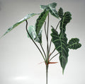 Blad 56cm groen