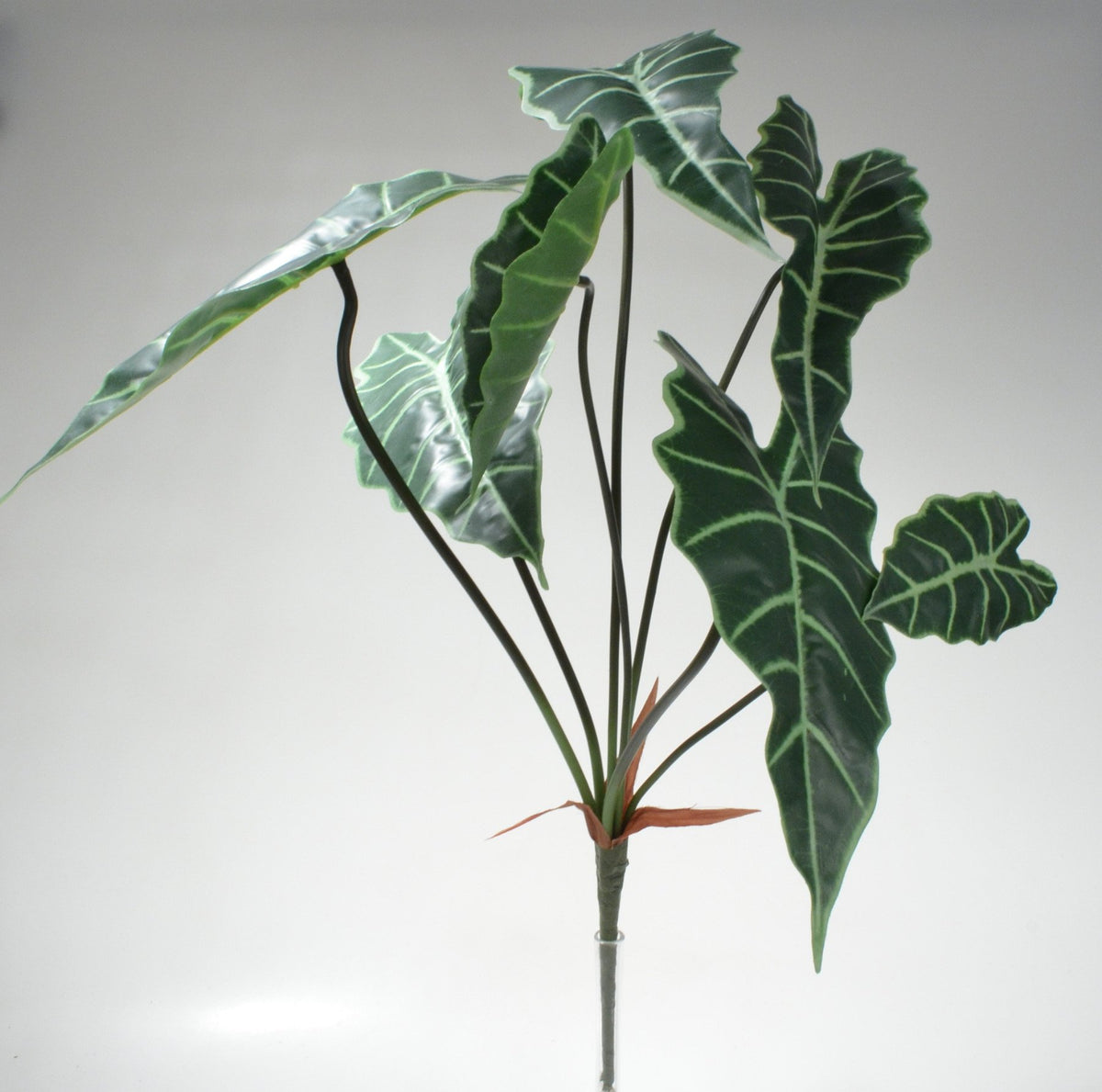 Blad 56cm groen