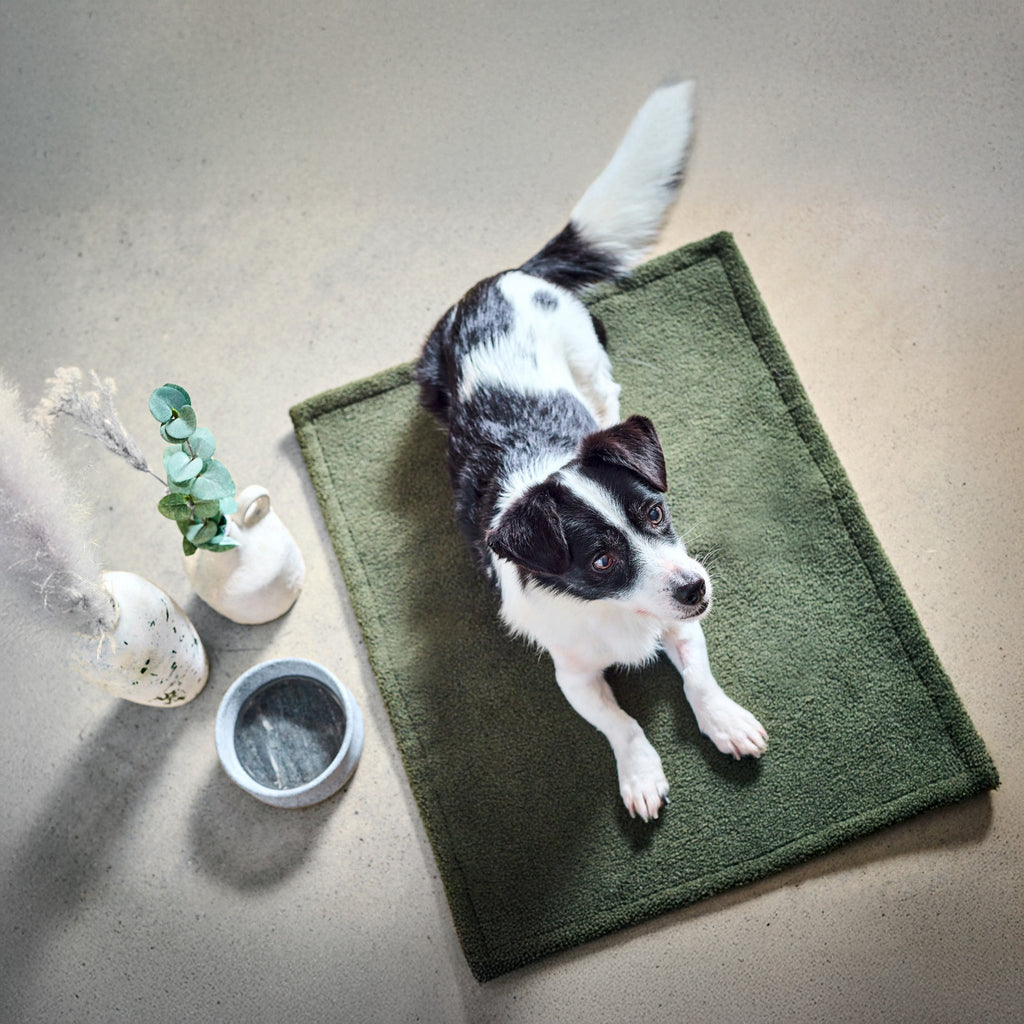 Teddy reis- en outdoordeken voor honden