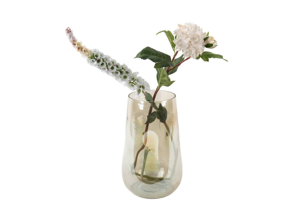 Vaas Glans Biologisch Groot