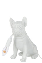 J -Line Tafellamp Bulldog - polyresin - humor