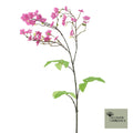 Wilde madeliefjes spray beauty 92cm
