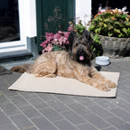 Teddy reis- en outdoordeken voor honden