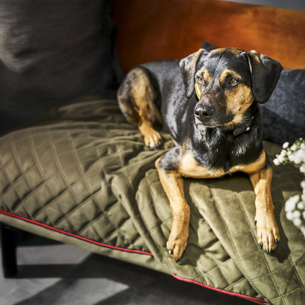 Oxford fluwelen deken voor honden