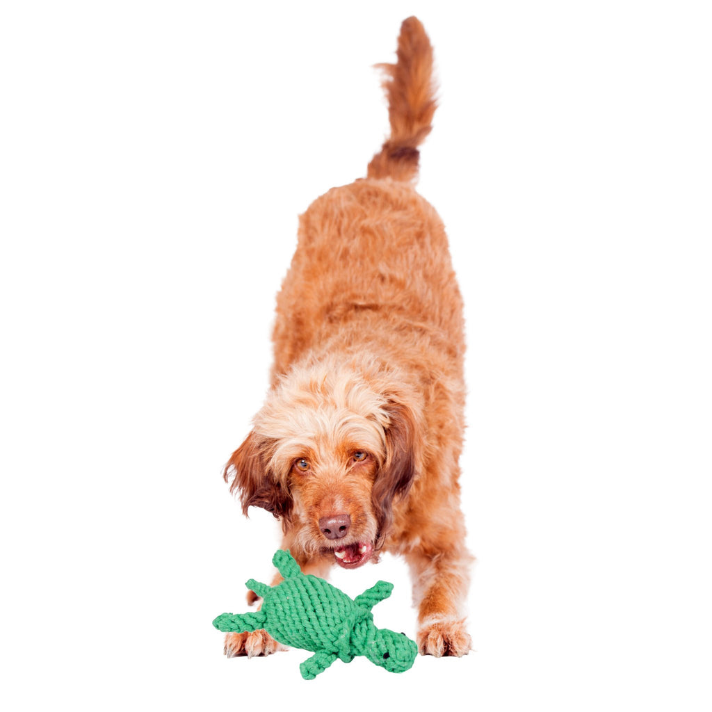 Tina Turtle - cultspeelgoed voor honden
