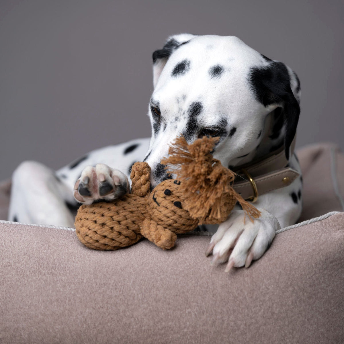 Heinrich Rabbit - cultspeelgoed voor honden
