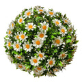 Buxus bol Ø 22 cm Wit Groen Kunststof