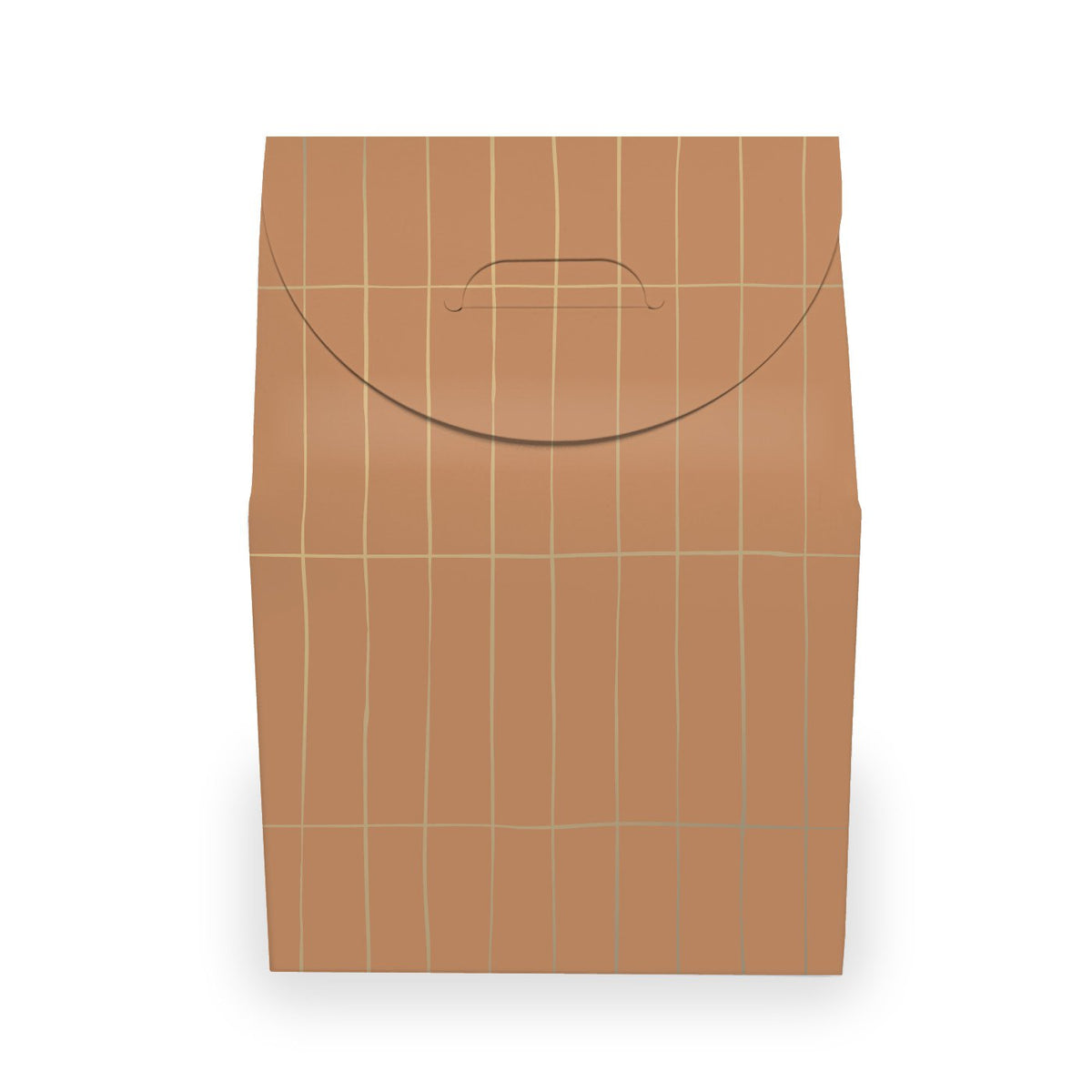 Cadeaudoosjes '25 - maat L